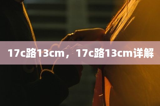 17c路13cm，17c路13cm详解