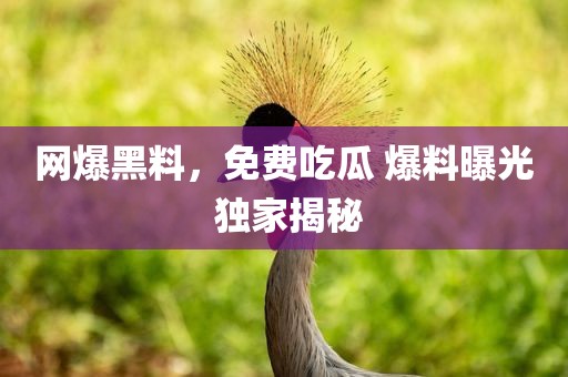 网爆黑料，免费吃瓜 爆料曝光 独家揭秘