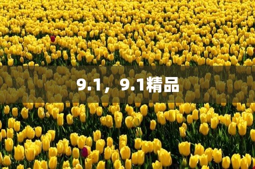 9.1，9.1精品