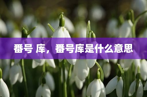 番号 库，番号库是什么意思