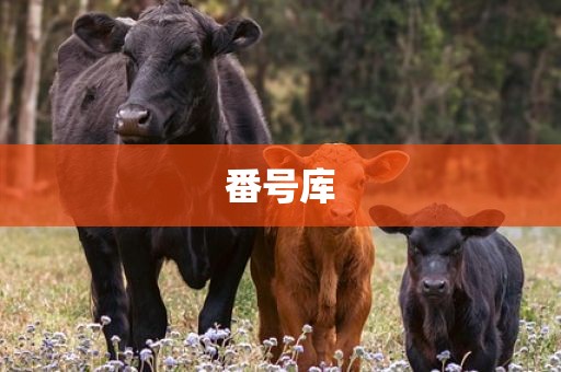 番号库
