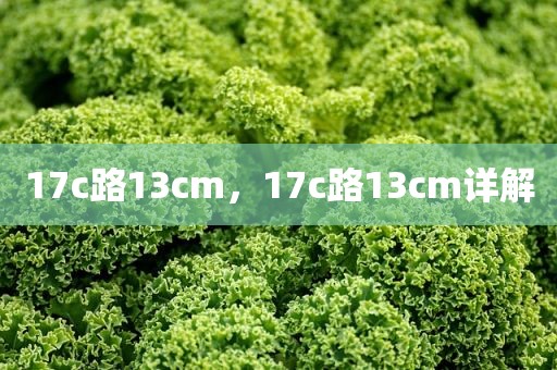 17c路13cm，17c路13cm详解