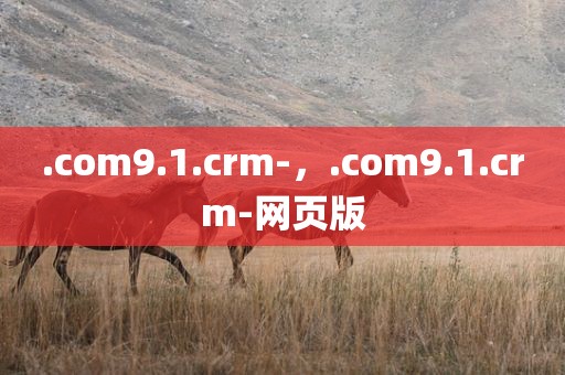 .com9.1.crm-，.com9.1.crm-网页版