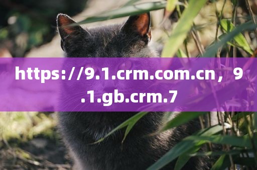 https://9.1.crm.com.cn，9.1.gb.crm.7