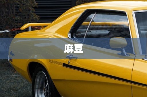 麻豆