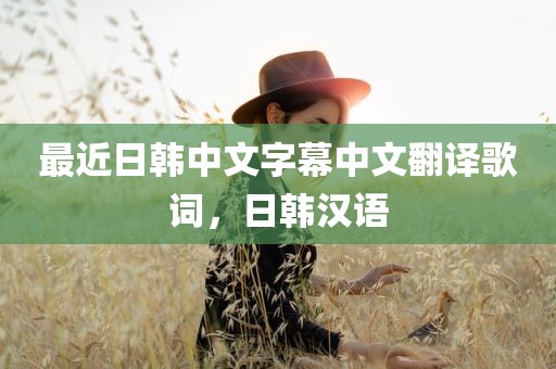 最近日韩中文字幕中文翻译歌词，日韩汉语