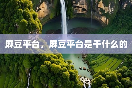 麻豆平台，麻豆平台是干什么的