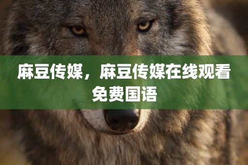 麻豆传媒，麻豆传媒在线观看免费国语