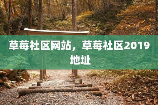 草莓社区网站，草莓社区2019 地址