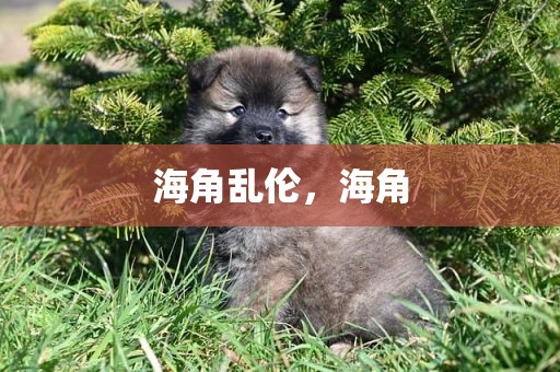 海角乱伦，海角