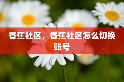 香蕉社区，香蕉社区怎么切换账号