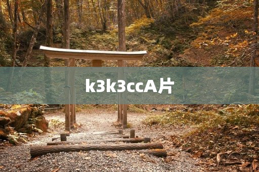 k3k3ccA片