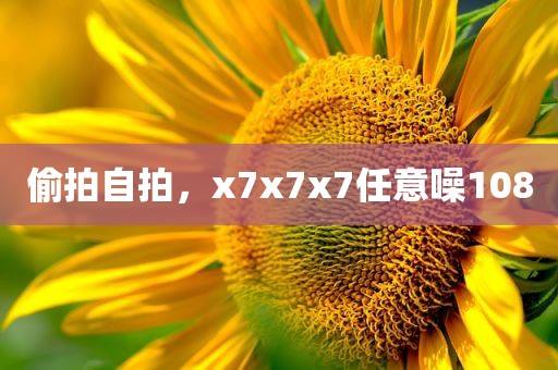偷拍自拍，x7x7x7任意噪108