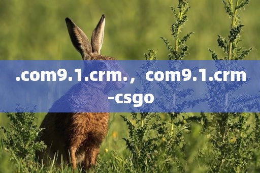 .com9.1.crm.，com9.1.crm-csgo