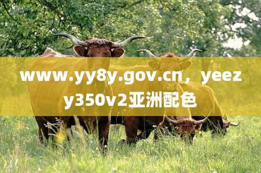 www.yy8y.gov.cn，yeezy350v2亚洲配色