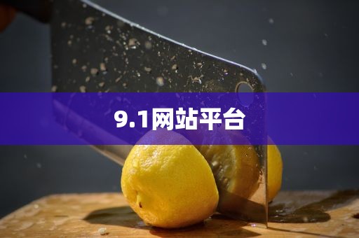 9.1网站平台