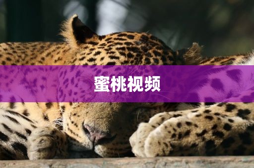 蜜桃视频