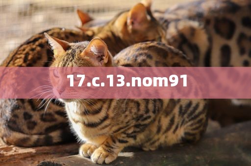 17.c.13.nom91