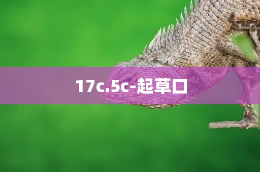 17c.5c-起草口