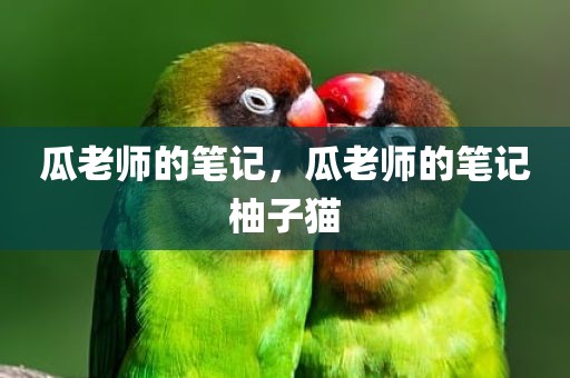 瓜老师的笔记，瓜老师的笔记柚子猫