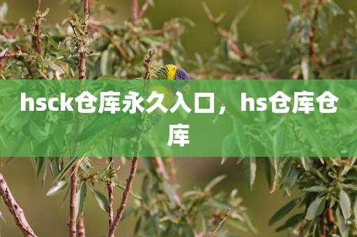 hsck仓库永久入口，hs仓库仓库