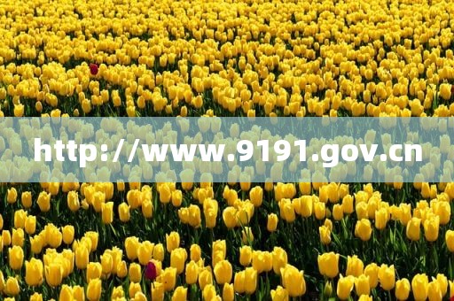 http://www.9191.gov.cn