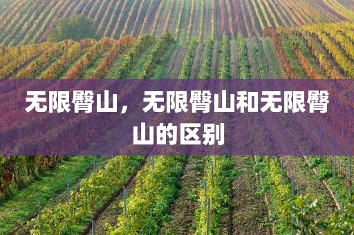 无限臀山，无限臀山和无限臀山的区别