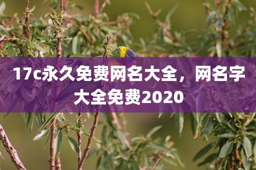 17c永久免费网名大全，网名字大全免费2020