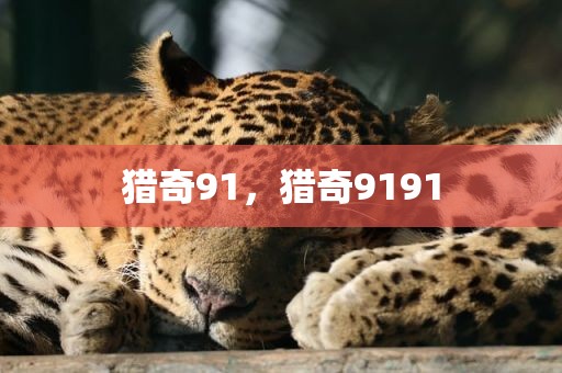 猎奇91，猎奇9191