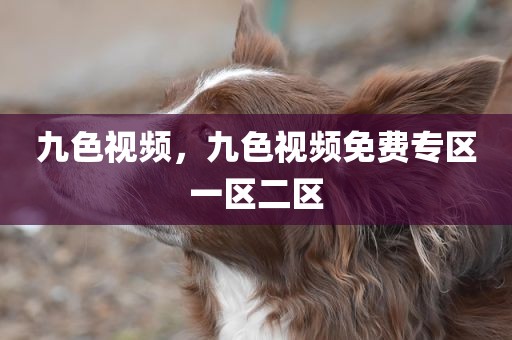 九色视频，九色视频免费专区一区二区