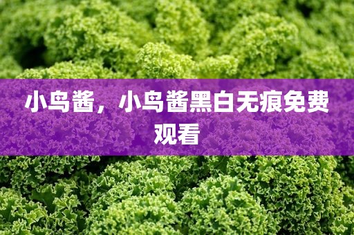 小鸟酱，小鸟酱黑白无痕免费观看