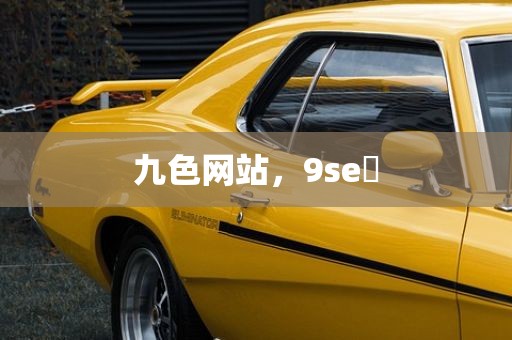 九色网站，9se 