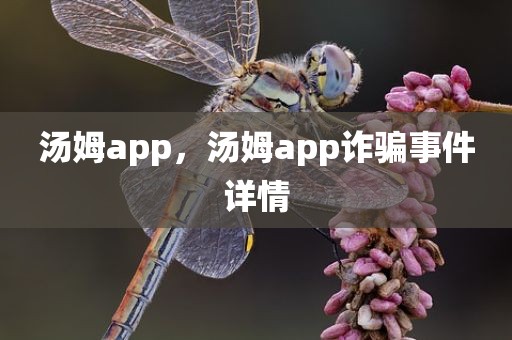 汤姆app，汤姆app诈骗事件详情