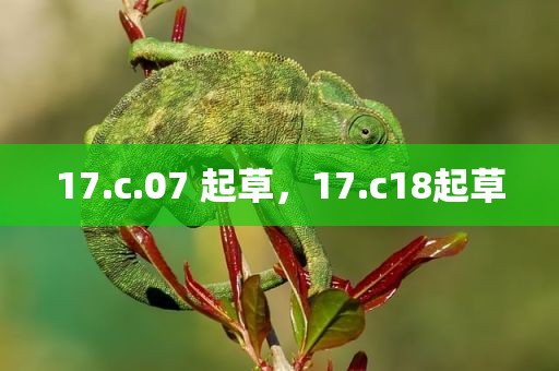 17.c.07 起草，17.c18起草