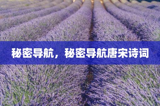 秘密导航，秘密导航唐宋诗词