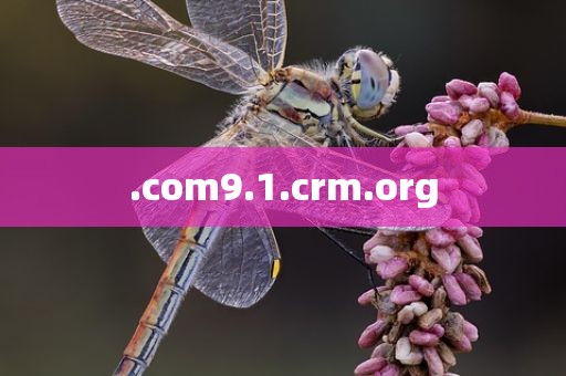.com9.1.crm.org