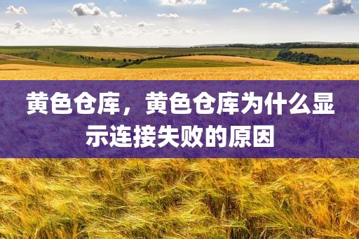 黄色仓库，黄色仓库为什么显示连接失败的原因