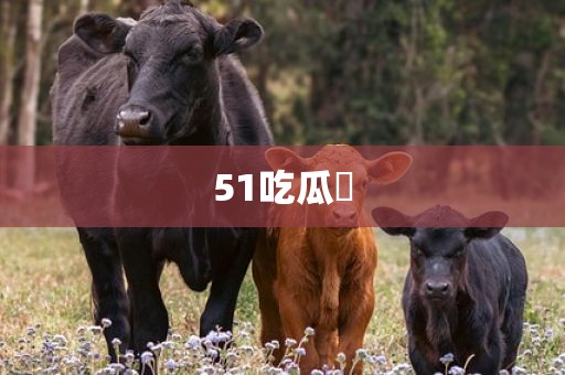 51吃瓜網