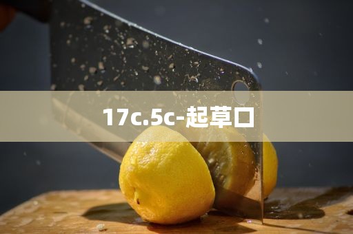 17c.5c-起草口