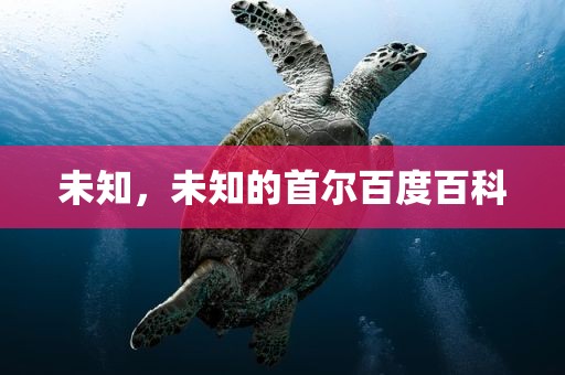 未知，未知的首尔百度百科