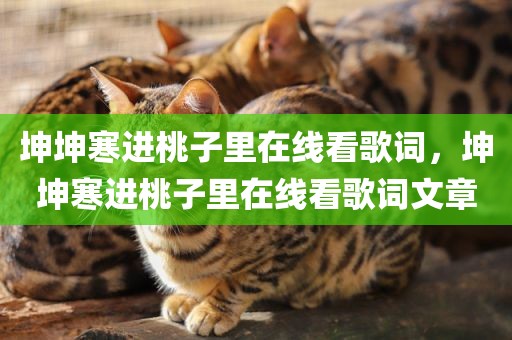 坤坤寒进桃子里在线看歌词，坤坤寒进桃子里在线看歌词文章
