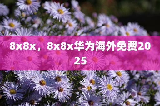 8x8x，8x8x华为海外免费2025