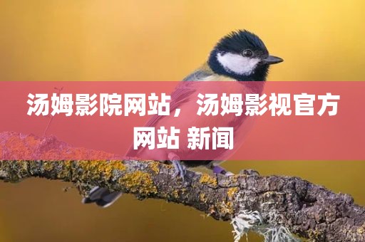 汤姆影院网站，汤姆影视官方网站 新闻