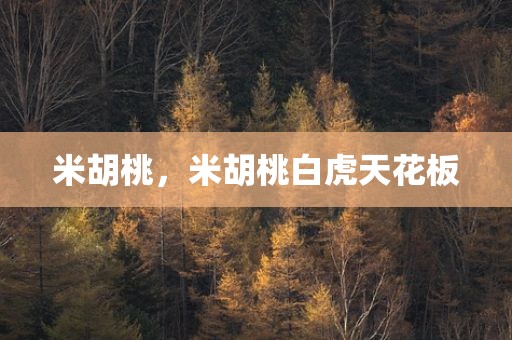 米胡桃，米胡桃白虎天花板