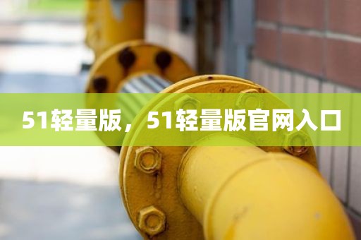 51轻量版，51轻量版官网入口