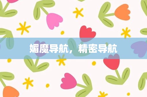 媚魔导航，精密导航