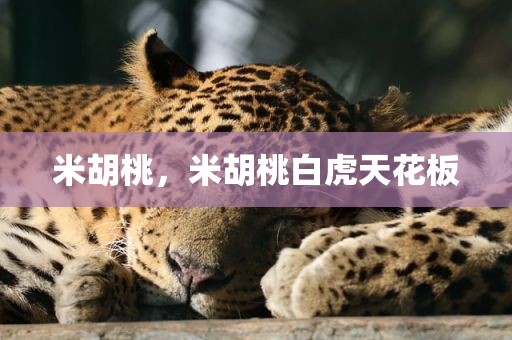米胡桃，米胡桃白虎天花板