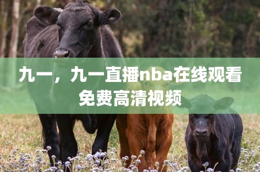 九一，九一直播nba在线观看免费高清视频