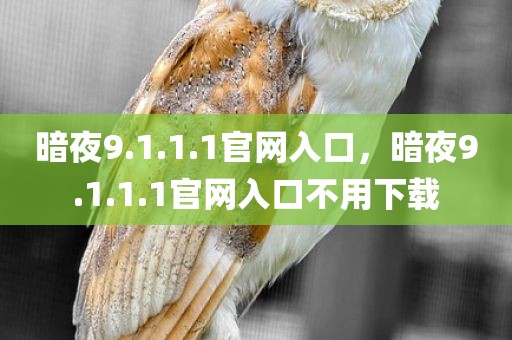 暗夜9.1.1.1官网入口，暗夜9.1.1.1官网入口不用下载