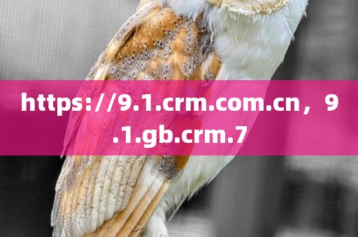 https://9.1.crm.com.cn，9.1.gb.crm.7